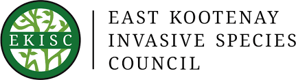 east-kootenay-invasive-species