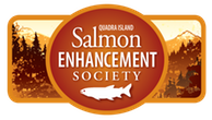 quadra-island-salmon-enhancement-society